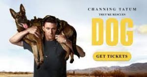 Dog Movie Digital Rights (OTT)