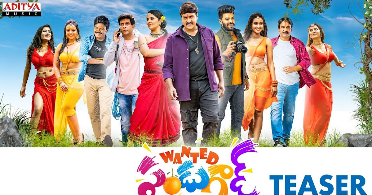 Wanted Pandugad 2022 Movie OTT Release Date – Digital Rights | Watch Online-Streaming Online